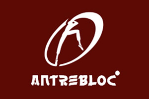 Antrebloc, première salle d'escalade d'île de France.